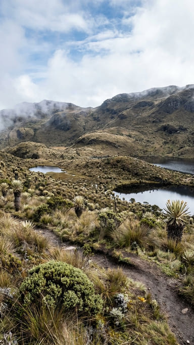 fauna y flora del imbabura